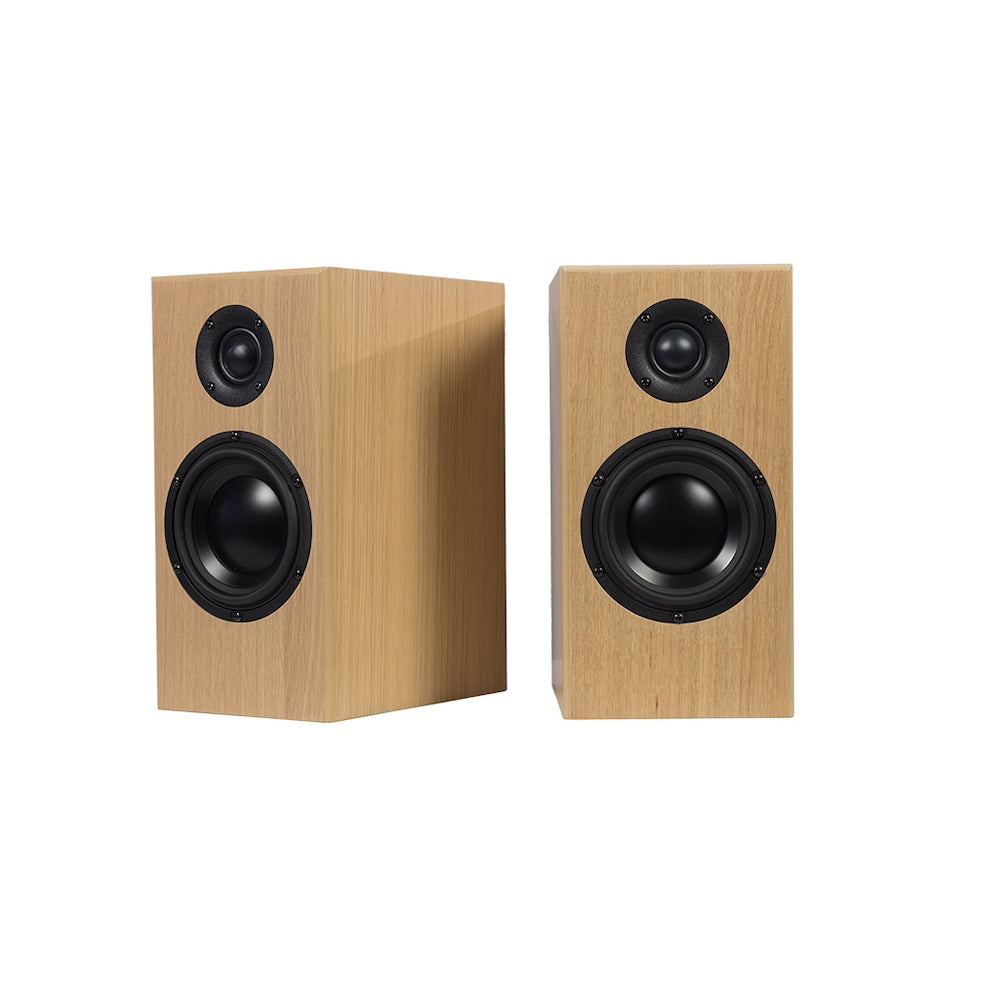Totem Bison Monitor Speakers