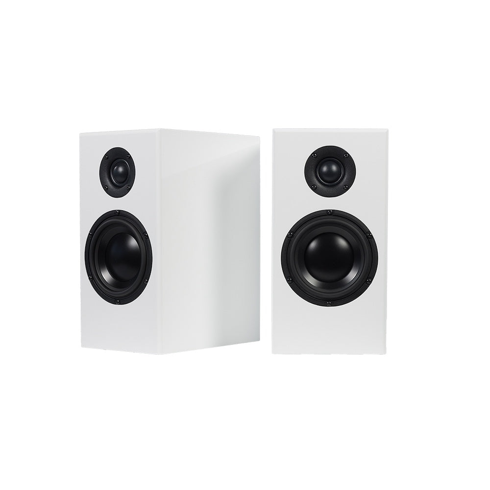 Totem Bison Monitor Speakers