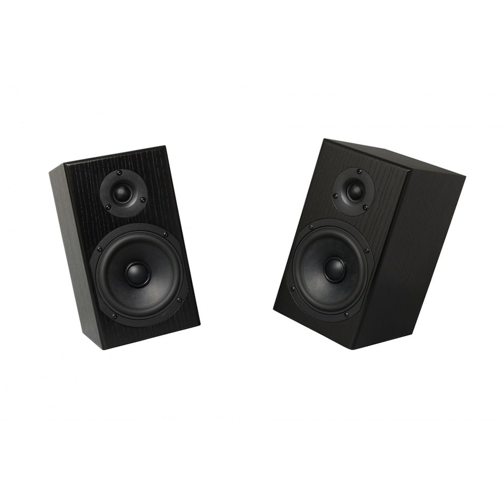 Totem Loon Monitor Speakers