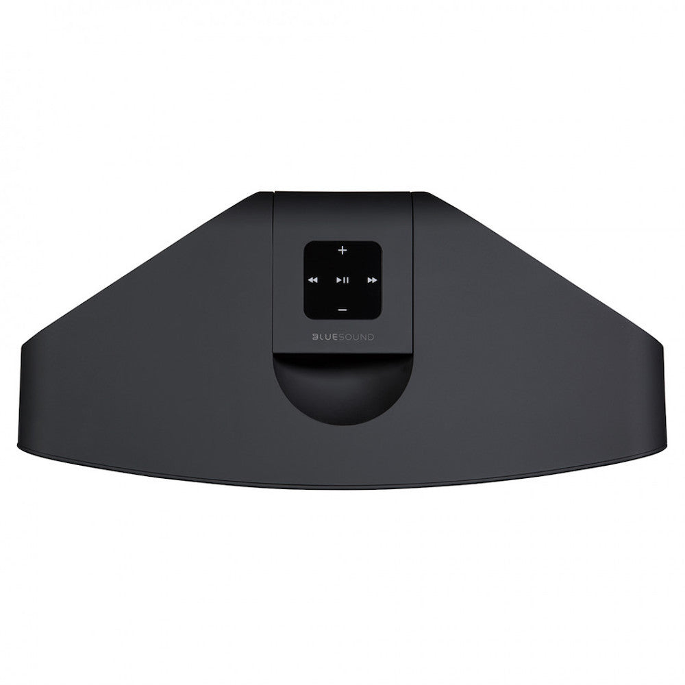 Bluesound Pulse 2i Wireless Speaker