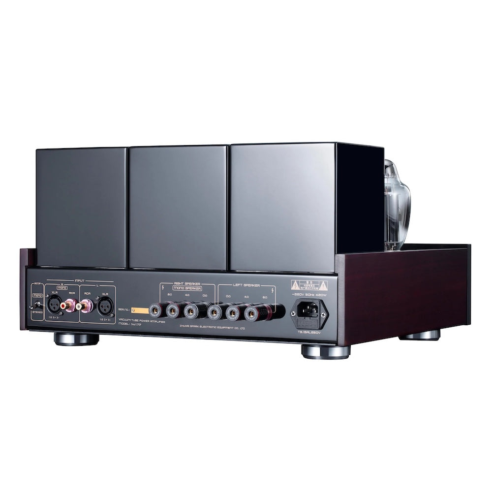 Cayin Soul 170P Stereo and Mono Block Amplifier COMING SOON
