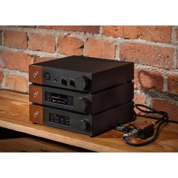 Ferrum Audio WANDLA GOLDENSOUND Edition Reference Pre Dac