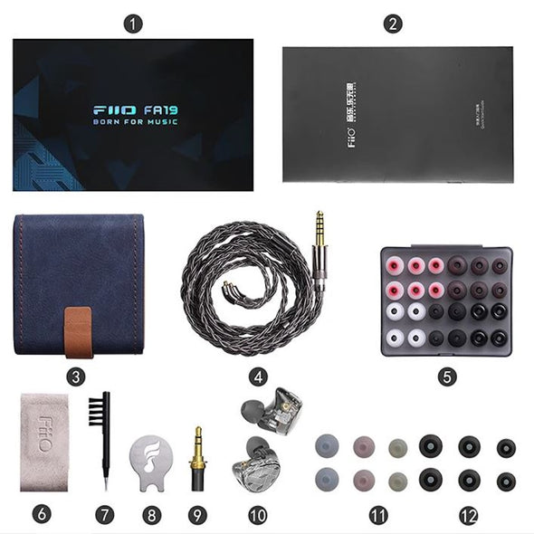 Fiio FA19 In Ear Monitors