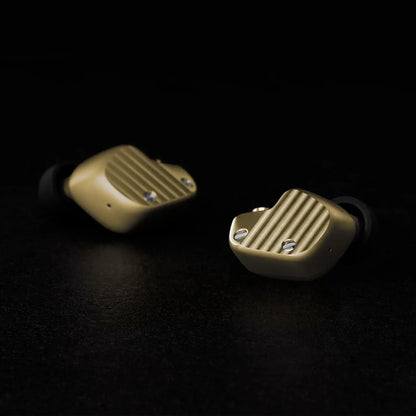 Final A10000 In Ear Monitors