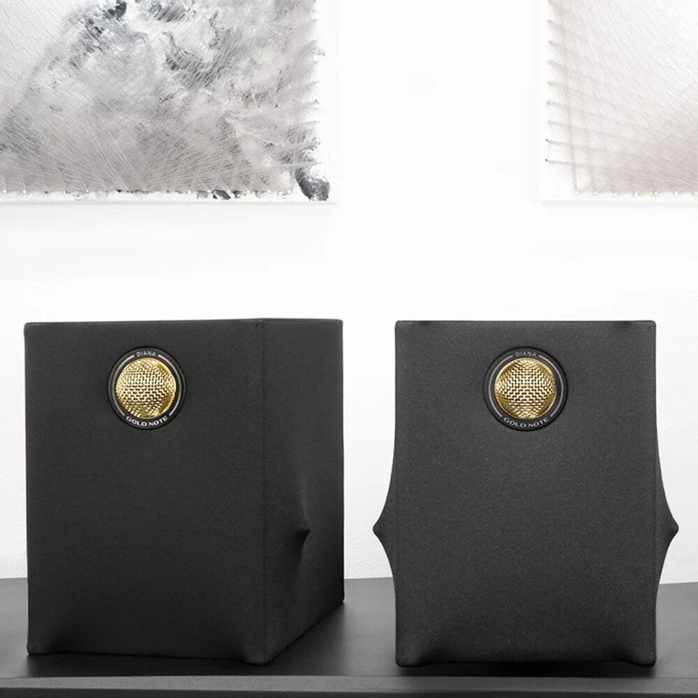Gold Note Diana I Speakers