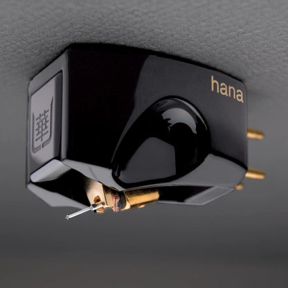 Hana Umami Black Cartridge