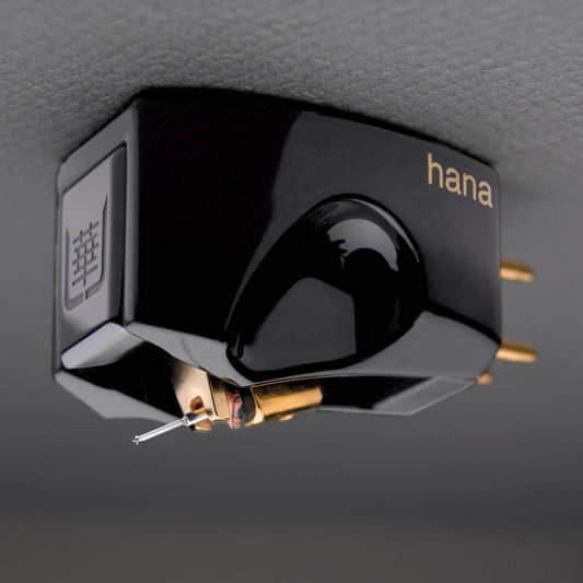 Hana Umami Black Cartridge