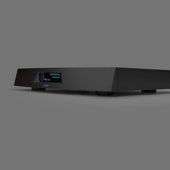 Lumin L2 Network Switch and Dual Hard Drive Music Server
