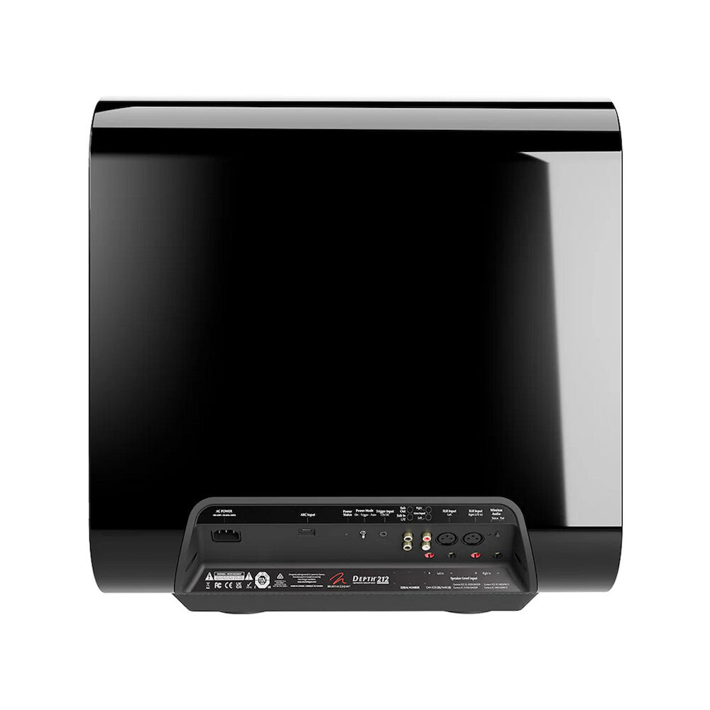 Martin Logan Depth 212 Subwoofer
