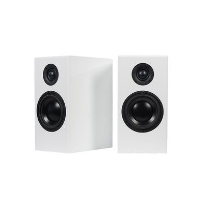 Totem Bison Monitor Speakers