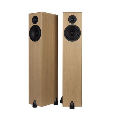 Totem Bison Tower Speakers