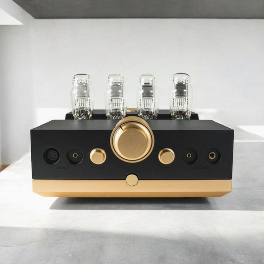 Woo Audio WA24 20th Anniversary Headphone Amplifier