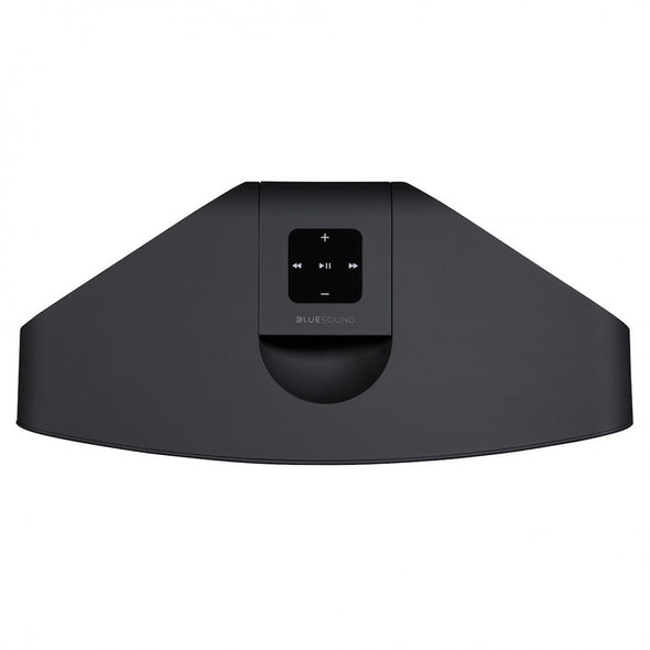 Bluesound Pulse 2i Wireless Speaker
