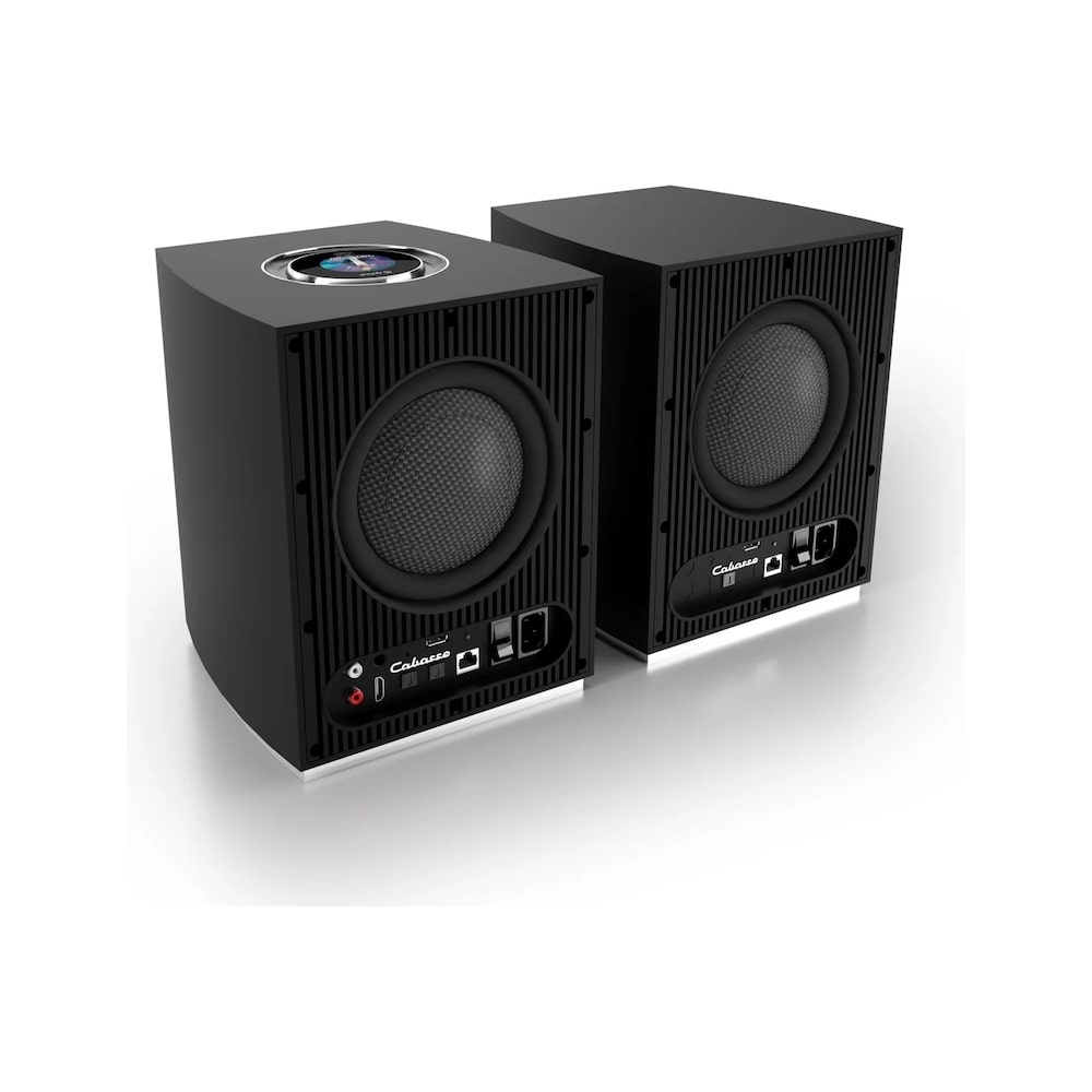 Cabasse Rialto Powered Wireless Speaker