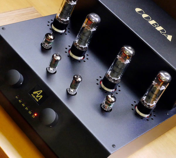 Audio Note Integrated Amplifiers – Noteworthy Audio
