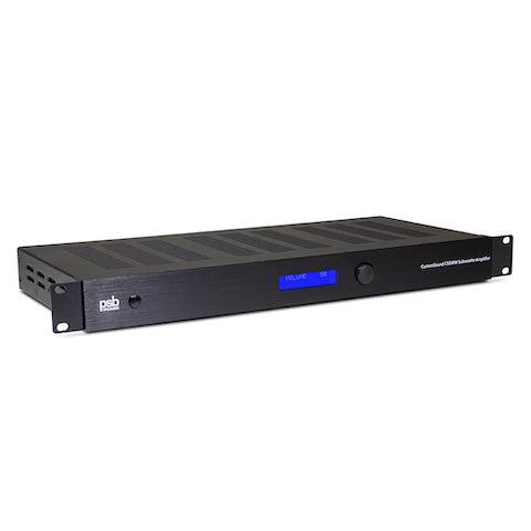 PSB CS 500W Subwoofer Amplifier