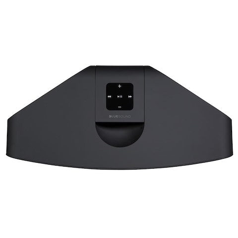 Bluesound Pulse 2i Wireless Speaker